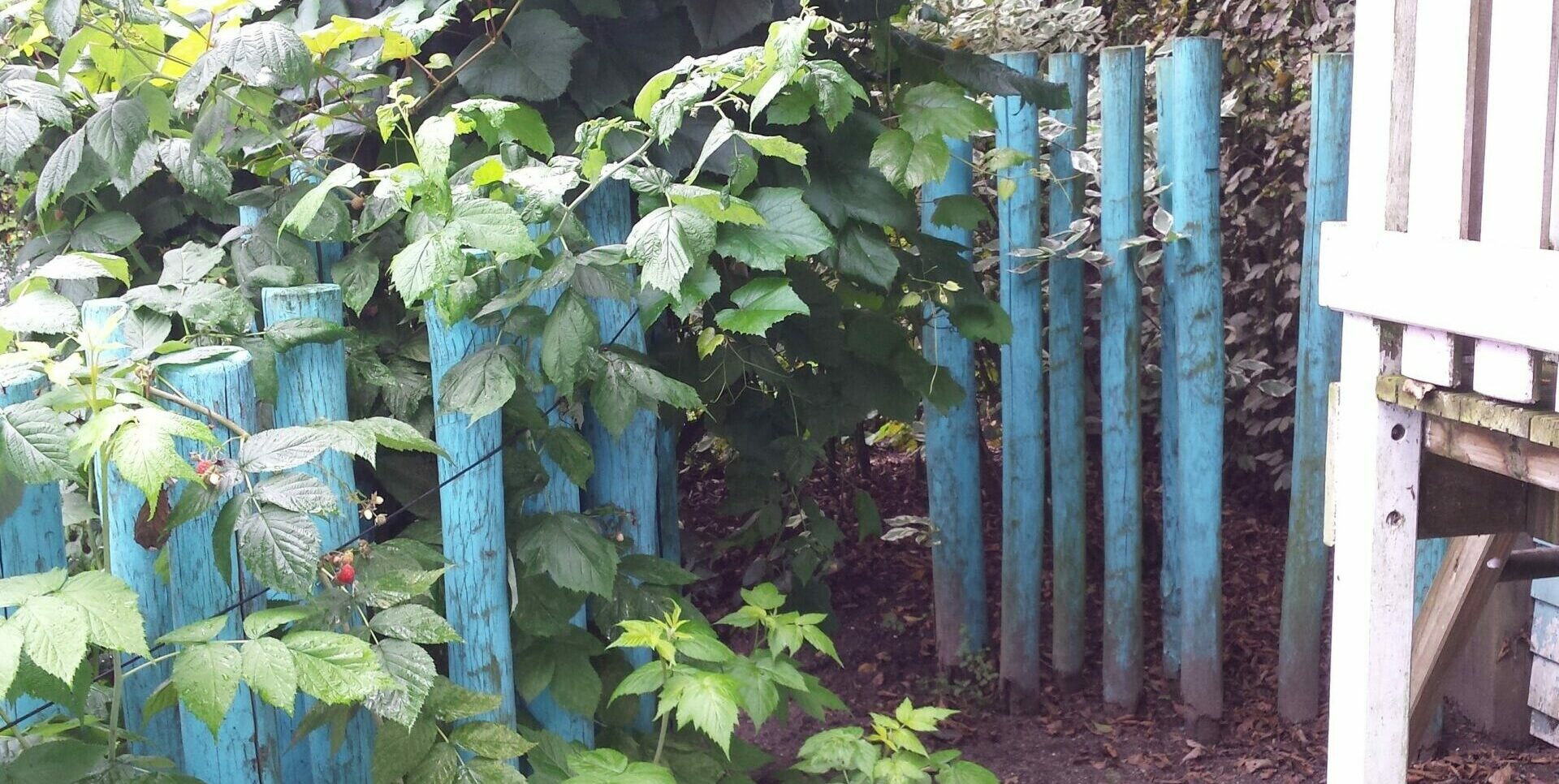 De Ommuurde Tuin - Regeneratieve School